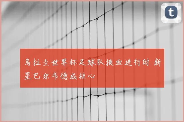 乌拉圭世界杯足球队换血进行时 新星巴尔韦德成核心