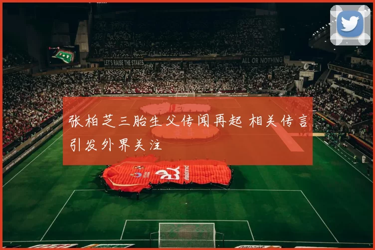 张柏芝三胎生父传闻再起 相关传言引发外界关注
