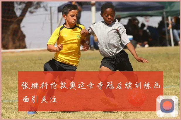 张继科伦敦奥运会夺冠后续训练画面引关注