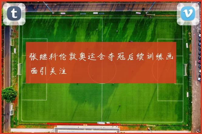 张继科伦敦奥运会夺冠后续训练画面引关注