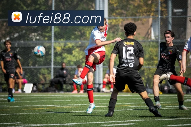 新爱体育官方网站 - 新爱体育(中国)品牌故事